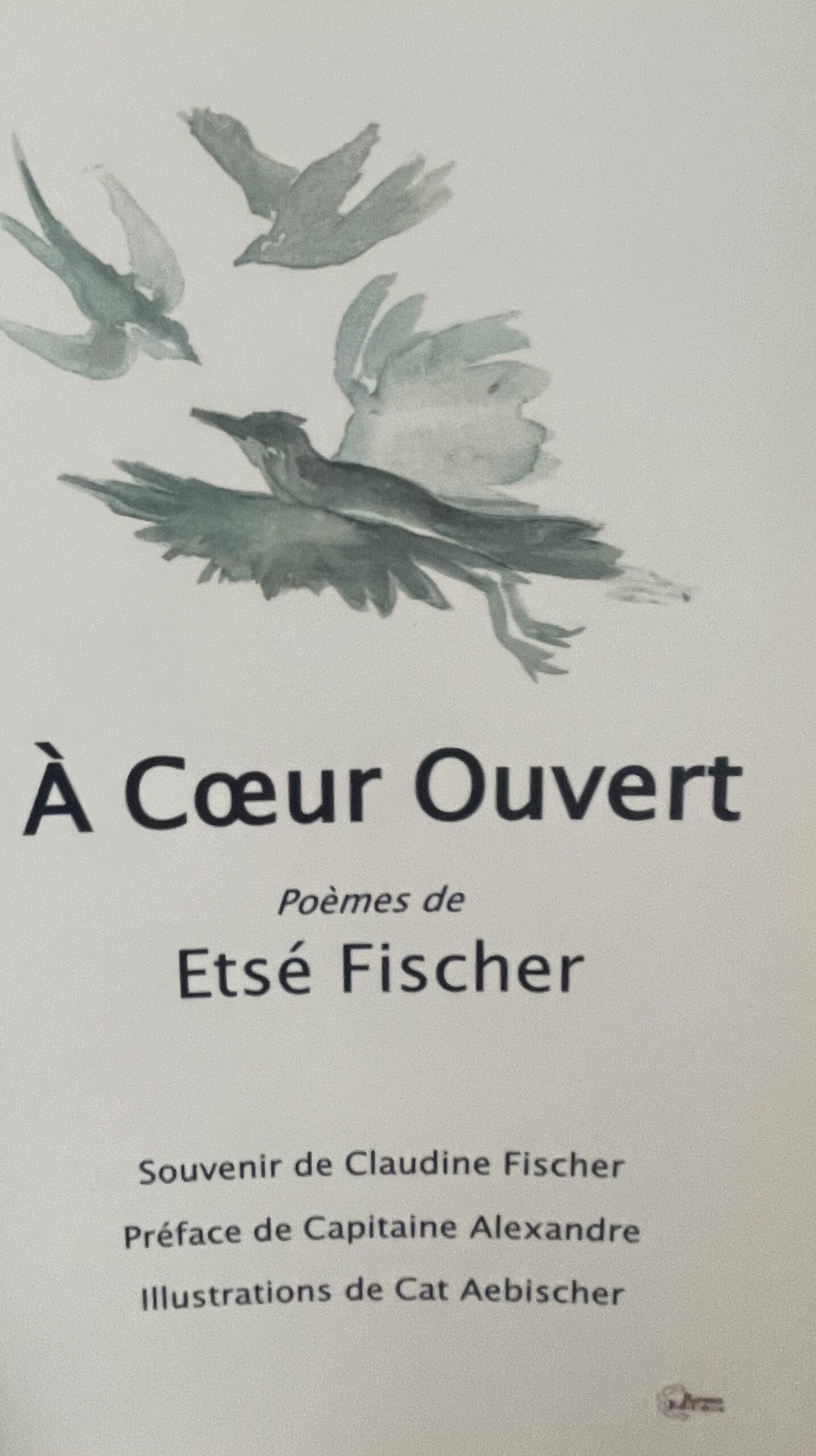 Page de couverture d'A cœur ouvert