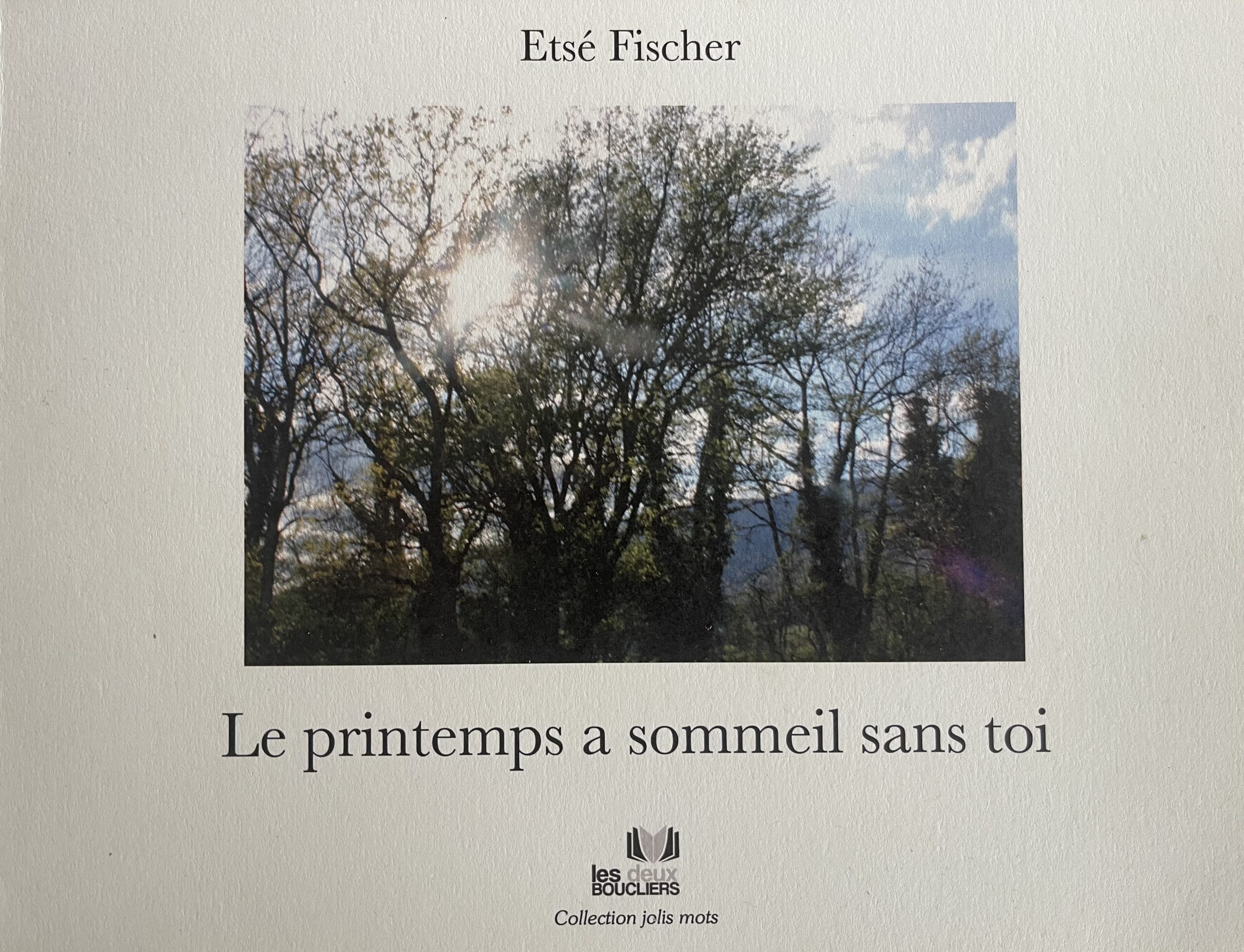 Couverture de "Le printemps a sommeil sans toi" écrit par Étsé Fischer
